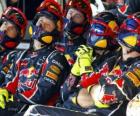 Red Bull механических наблюдать гонки